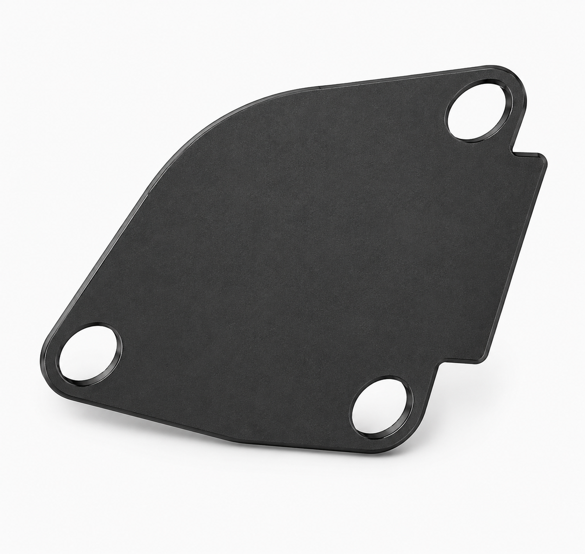 EGR Blanking Plate for Vauxhall 1.9 DTi DCi Clio Escape Kangoo Renault Volvo